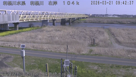 tonme2026032110_image