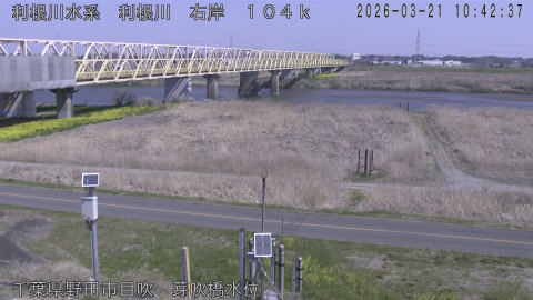 tonme2026032111_image