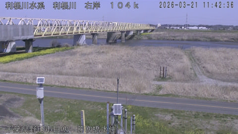 tonme2026032112_image