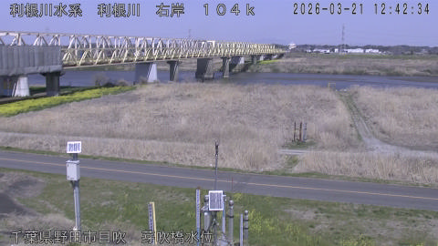 tonme2026032113_image