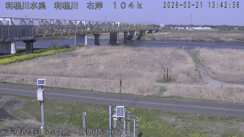 tonme2026032114_image