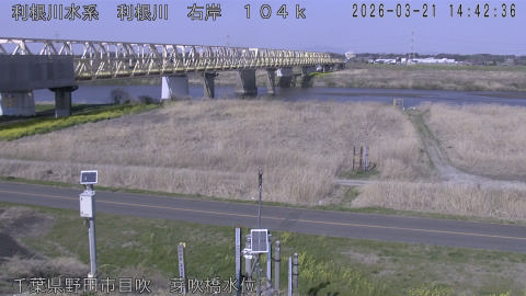 tonme2026032115_image