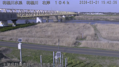 tonme2026032116_image