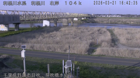 tonme2026032117_image