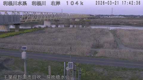 tonme2026032118_image