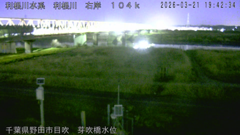 tonme2026032120_image