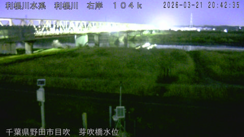 tonme2026032121_image