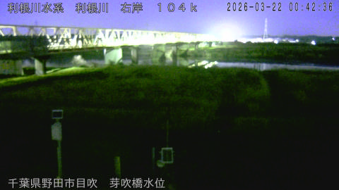 tonme2026032201_image