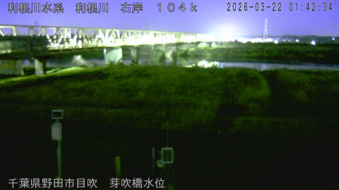 tonme2026032202_image