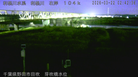 tonme2026032203_image