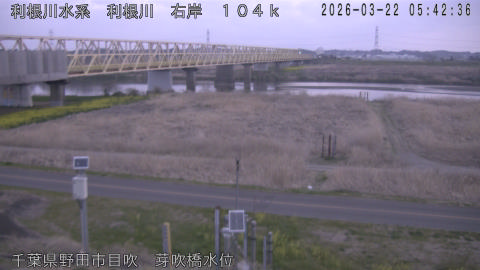 tonme2026032206_image