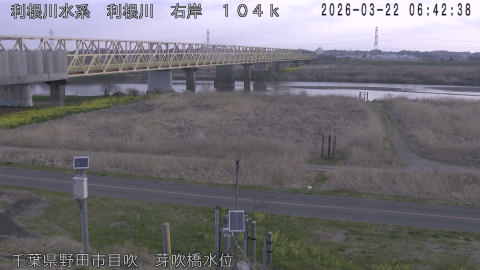 tonme2026032207_image