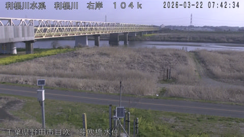 tonme2026032208_image