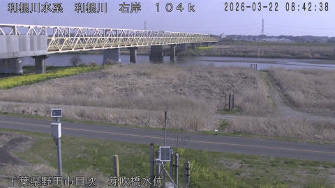 tonme2026032209_image