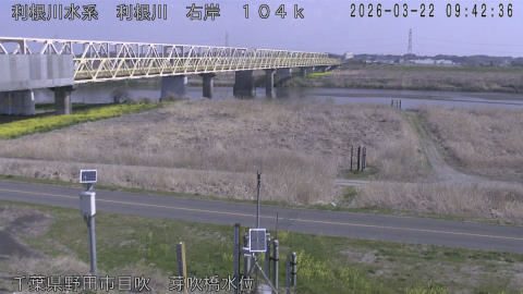 tonme2026032210_image