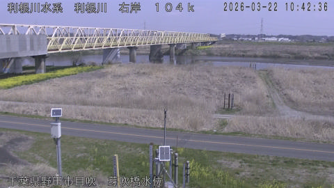 tonme2026032211_image