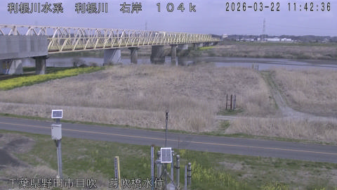 tonme2026032212_image