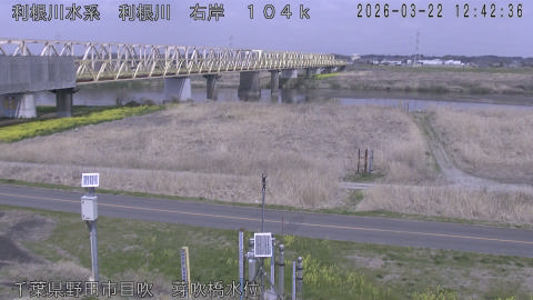 tonme2026032213_image