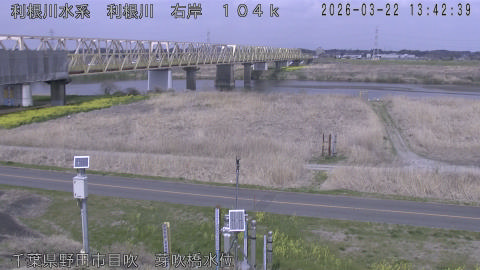 tonme2026032214_image