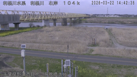 tonme2026032215_image