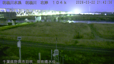 tonme2026032222_image