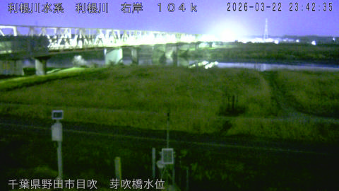 tonme2026032300_image