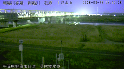 tonme2026032304_image