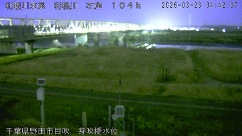 tonme2026032305_image