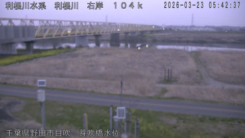 tonme2026032306_image