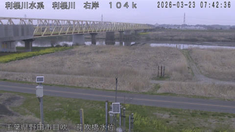 tonme2026032308_image