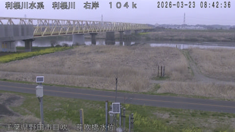 tonme2026032309_image