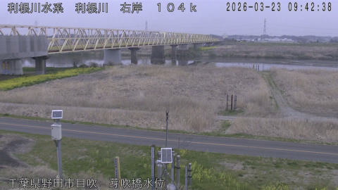 tonme2026032310_image