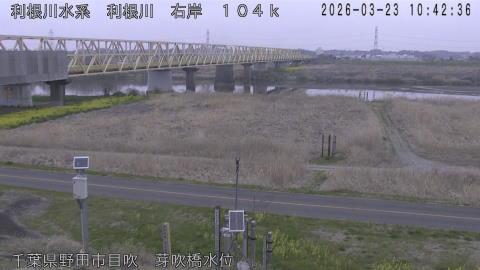 tonme2026032311_image