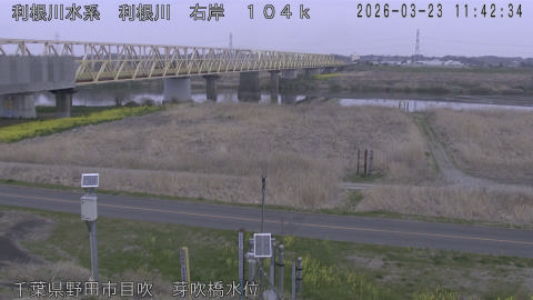 tonme2026032312_image