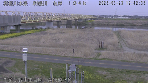 tonme2026032313_image