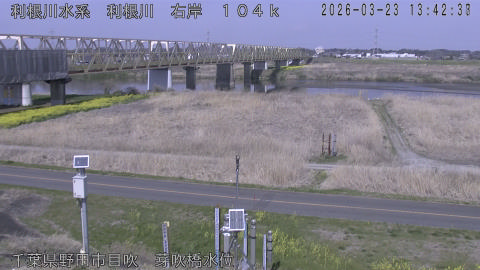 tonme2026032314_image