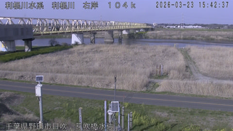 tonme2026032316_image