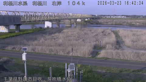 tonme2026032317_image