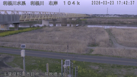 tonme2026032318_image