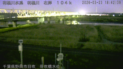 tonme2026032319_image