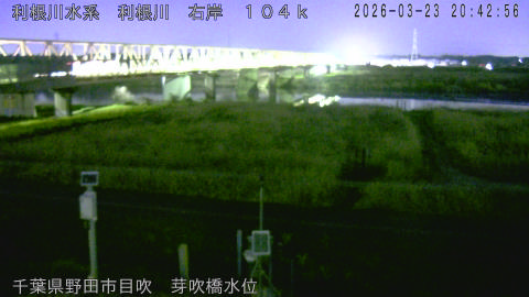 tonme2026032321_image