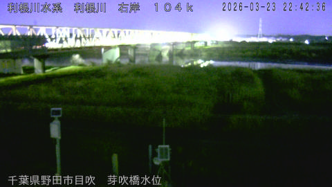 tonme2026032323_image