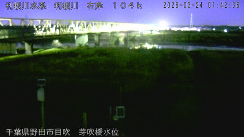 tonme2026032402_image