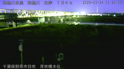 tonme2026032403_image