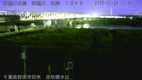 tonme2026032404_image