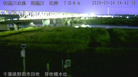 tonme2026032405_image