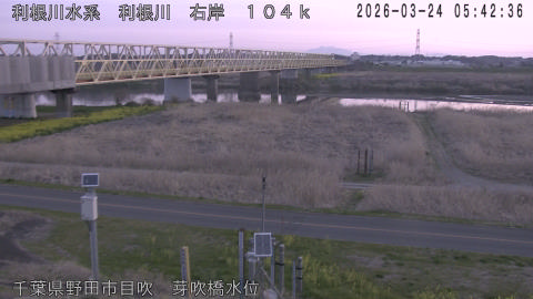 tonme2026032406_image