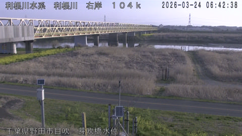 tonme2026032407_image