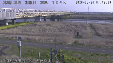 tonme2026032408_image