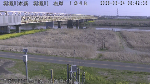 tonme2026032409_image